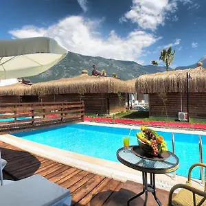 book here